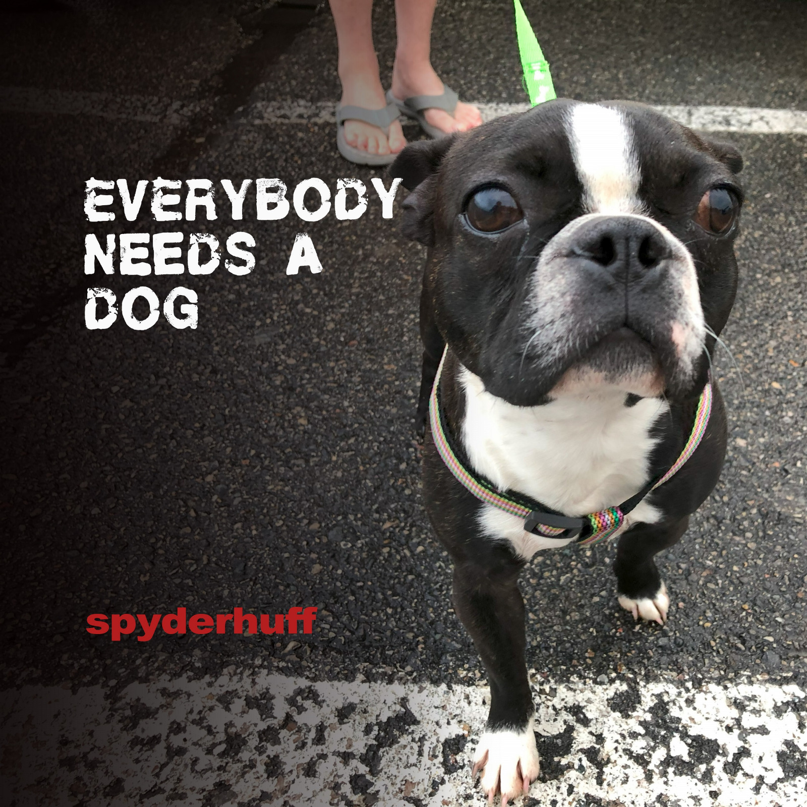 Everybody Needs a Dog: Spyderhuff’s Swampy and Psychedelic Blues-Rock Journey